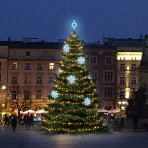 DecoLED LED světelná sada na stromy vysoké 9-11m, teplá bílá s ledově bílými dekory 8EFD08 obraz