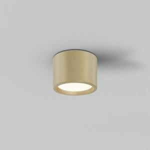 MAYTONI Stropní svítidlo Hydra 10W 120d C090CL-10W3K-MG obraz