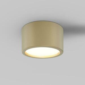 MAYTONI Stropní svítidlo Hydra 15W 120d C090CL-15W3K-MG obraz