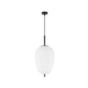 NOVA LUCE závěsné svítidlo LATO černý kov a opálové sklo E27 1x12W 230V IP20 bez žárovky 9624073 obraz