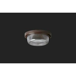 OSMONT ELE50016 ELEKTRA 3 L stropní/nástěnné průmyslové plastové svítidlo hnědá / čirá IP54 60W E27 obraz