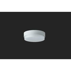 OSMONT TRI57213 TRITON 1 stropní/nástěnné průmyslové plastové svítidlo stříbrná / bílá IP65 3000 K 19W LED DALI obraz
