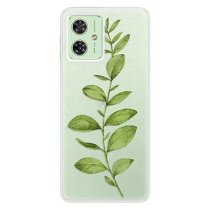 Silikonové pouzdro iSaprio - Green Plant 01 - Motorola Moto G54 5G / G54 5G Power Edition obraz