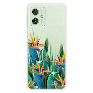 Silikonové pouzdro iSaprio - Exotic Flowers - Motorola Moto G54 5G / G54 5G Power Edition obraz