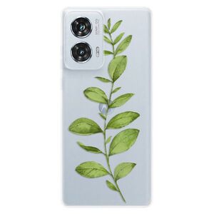 Silikonové pouzdro iSaprio - Green Plant 01 - Motorola Edge 50 Fusion obraz
