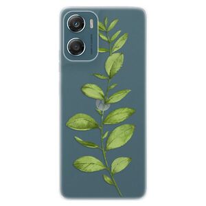 Silikonové pouzdro iSaprio - Green Plant 01 - Motorola Moto G06 obraz