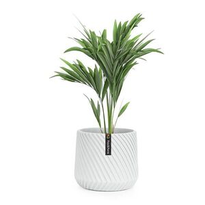 Fox & Fern Heusden, květináč, Polystone, vhodný pro rostliny, ruční výroba obraz