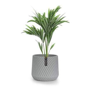 Fox & Fern Heusden, květináč, Polystone, vhodný pro rostliny, ruční výroba obraz