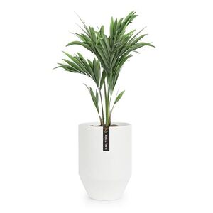 Fox & Fern Květináč Almere polystone ideální pro rostliny, ručně vyrobený, kónický obraz
