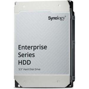 Synology HAT5320-8T 8TB HAT5320-8T obraz