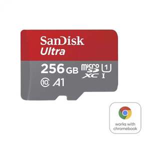 Western Digital SDSQUAC-256G-GN6FA paměťová SDSQUAC-256G-GN6FA obraz
