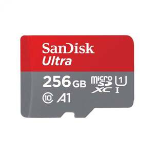 SanDisk Ultra microSD 256 GB MicroSDXC UHS-I SDSQUNR-256G-GN6TA obraz