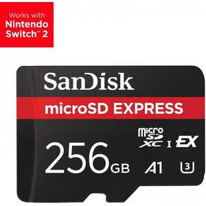 SanDisk Express 256 GB MicroSDXC UHS-I SDSQXFN-256G-GN4NN obraz