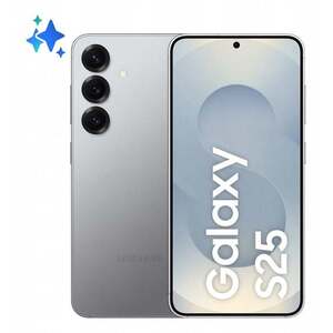 Samsung Galaxy S25 5G 12/256GB Stříbrný SM-S931BZSGEUE obraz