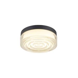 BIG WHITE SLV CYFT WAVE XL Přisazené nástěnné a stropní svítidlo, 2700/3000/4000 K, 15 W, PHASE, 105°, IP65 černá / čirá 1010211 obraz