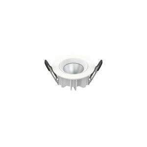 BIG WHITE SLV DOWNLIGHT P 84 12 WM 840 60 ML DALI WH IP54 1010758 obraz