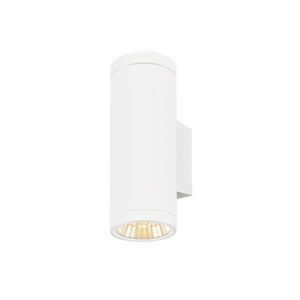 BIG WHITE SLV HELIA PRO L nástěnné svítidlo pro povrchovou montáž, jednoduché, DALI, P2, válcové, 2700 K, 15 W, 24°, bílé 1010174 obraz