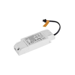 BIG WHITE SLV LED Driver 21 W, 200 mA 1010695 obraz