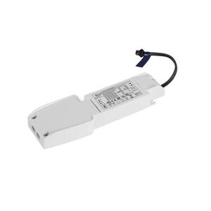BIG WHITE SLV LED Driver 21 W, 350 mA 1010696 obraz