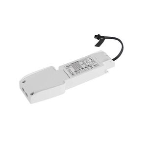 BIG WHITE SLV LED Driver 30 W, 700 mA 1010698 obraz