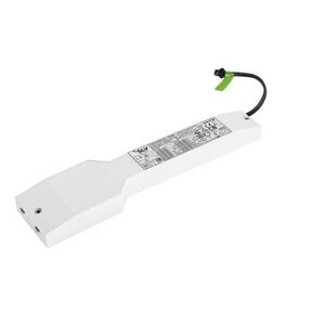 BIG WHITE SLV LED Driver 36 W, 500 mA, DALI 1010705 obraz