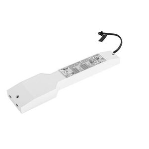 BIG WHITE SLV LED Driver 36 W, 700 mA, DALI 1010706 obraz