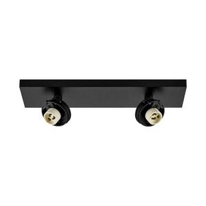 Deko-Light stropní přisazené svítidlo - Can Tilt hranatá základna, 2x 7, 5 W GU10, černá 348267 obraz
