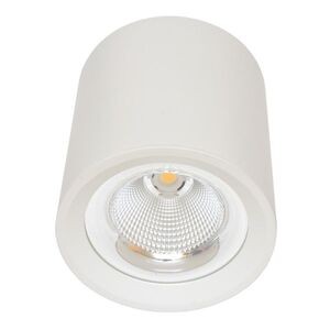 Ecolite Svítidlo přisazené, COB, 30W, 4100K, bílé MZ-DL-30W/BI obraz