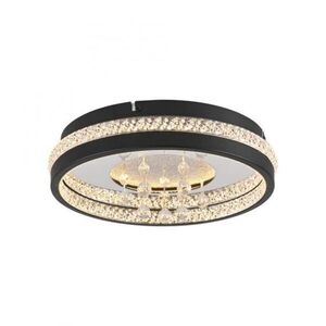 PAUL NEUHAUS JUST LIGHT LED křišťálové stropní svítidlo HANNI, černá, 3000K obraz