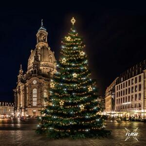 DecoLED LED světelná sada na stromy vysoké 18-20m, teplá bílá s Flash, dekory 8EFD14W obraz