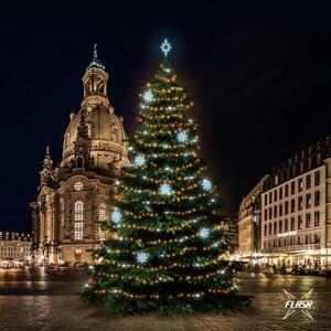 DecoLED LED světelná sada na stromy vysoké 18-20m, teplá bílá s Flash, ledové dekory 8EFD08 obraz