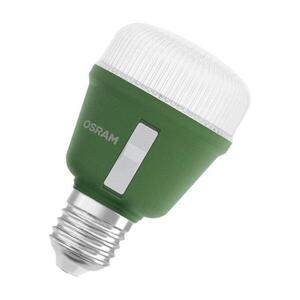 LEDVANCE LED Star Grow Lamp T 60 10W Clear E27 4058075845787 obraz