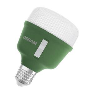 LEDVANCE LED Star Grow Lamp T 80 20W čirá E27 4058075845800 obraz