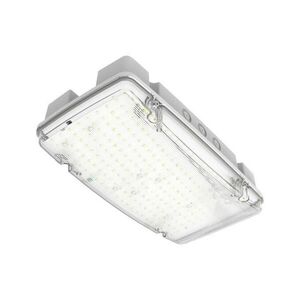 LEDVANCE nouzové svítidlo EM BULKHEAD HLO 10 W 220-240 V 5700 K 3 h IP66 obraz