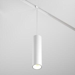 MAYTONI Svítidlo do kolejnice Focus LED EXILITY 2700-6000K 12W 36d Dim DALI 2 TR041-4-12WTW-DD2-W obraz