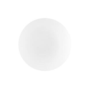 Nova Luce Klasické koupelnové stropní svítidlo Ivi z bílého opálového skla - 2 x 60 W, pr. 400 x 80 mm NV 6100523 obraz