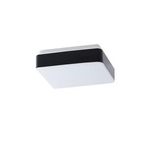 OSMONT TIL52605 TILIA C1A stropní/nástěnné plastové svítidlo IP44 25W E27 obraz