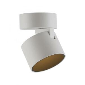 PAUL NEUHAUS LED stropní svítidlo PURE Cup bílá 2700K obraz