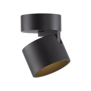 PAUL NEUHAUS LED stropní svítidlo PURE Cup, černá, stmívatelné, nastavitelné a otočné 2700K obraz