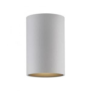 PAUL NEUHAUS LED stropní svítidlo PURE Point, bílá, vnitřní, stmívatelné 2700K obraz