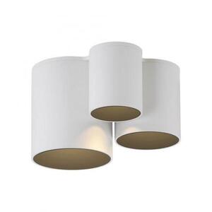PAUL NEUHAUS LED stropní svítidlo PURE Point, bílá, vnitřní, stmívatelné 2700K obraz
