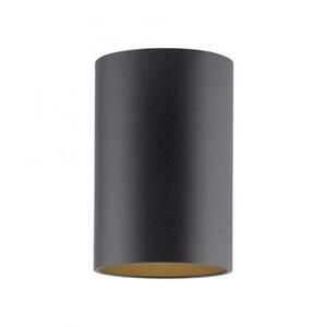 PAUL NEUHAUS LED stropní svítidlo PURE Point, černá, vnitřní, stmívatelné 2700K obraz