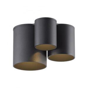 PAUL NEUHAUS LED stropní svítidlo PURE Point, černá, vnitřní, stmívatelné 2700K obraz