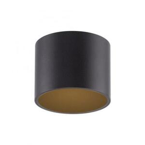 PAUL NEUHAUS LED stropní svítidlo PURE Point, černá, vnitřní, stmívatelné 2700K obraz