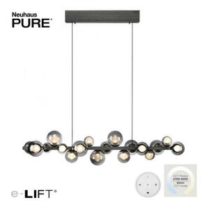 PAUL NEUHAUS LED závěsné svítidlo PURE E-Popup elektrické 2700-5000K platina / kouřová / satin 2557-15 obraz