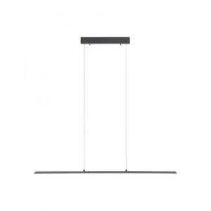 PAUL NEUHAUS Svítidlo závěsné PURE-LITE LED 100cm s nastavitelnou barvou světla 2700/3800/5000K a bezdotykovým stmívačem antracit 8375-13 obraz