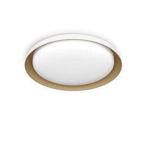 Philips Pebblo UltraEfficient stropní svítidlo LED 10W 1950lm 4000K SceneSwitch CRI80 32cm kulaté IP20, bílé obraz