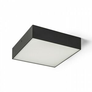 RED - DESIGN RENDL RENDL LARISA SQ 22 DIMM stropní černá 230V LED 20W 3000K R13939 obraz