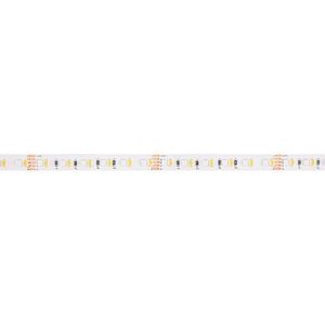 SLC LED pásek HO 16W/m 1260lm/m RGBW-3000K Ra80 24V IP20 5m obraz