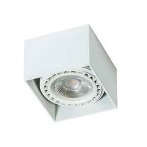 Stropní přisazené bodové svítidlo AZzardo Eco Alex white AZ1835 GU10+ADAP111/ES111 1x40W/1x50W IP20 12cm 230V bílé obraz